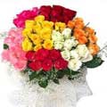 Send Roses to India