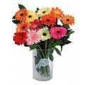 Send Flowers to India
