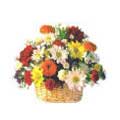 Send Flowers to India