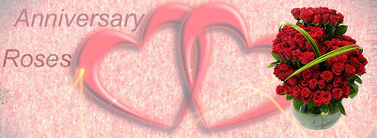 Anniversary Roses