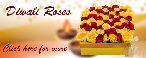 Roses for Diwali Gifts