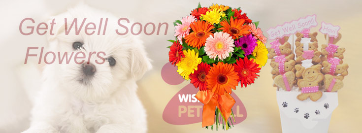 Get Well Soon Flowers to India