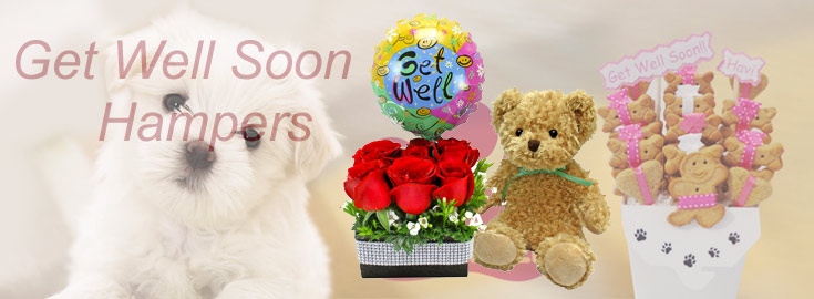 Get Well Soon Gifts Delivery in India