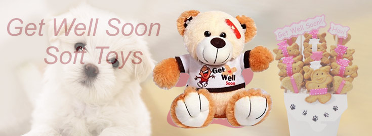 Getwellsoon soft Toys