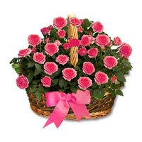 Buy Pink Roses Basket 24 Flowers