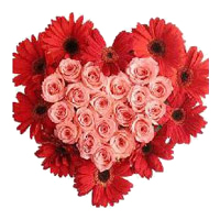 Online 24 Pink Roses 10 Red Gerbera Heart