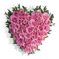 Send Pink Roses Heart 50 Flowers