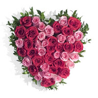 Online Pink Red Roses Heart 50 Flowers Delivery in India