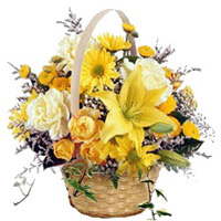 Send Flowers to India