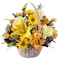 India Flowers : Send Flowers to India