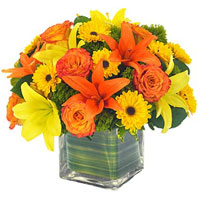 Flowers to India