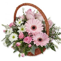 Send Flowers to India