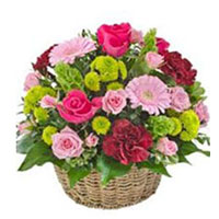 Send Flowers to India