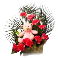 Red Carnation, Small Teddy Basket 12 Flowers with Rakhi