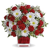 Send White Gerbera Red Carnation Vase 24 Flowers with Rakhi