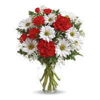 Send Rakhi with White Gerbera Red Carnation Vase 12 Flowers to India