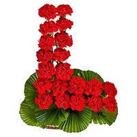 Shop Red Carnation Basket 24 Flowers with Rakhi in India on Rakhi