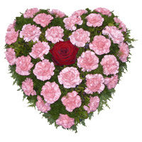 Valentine's Day Flowers Heart Arrangement of 36 Pink Carnation to India