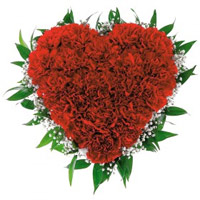 Breathtaking Heart Arrangement of 100 Red Carnation Flowers for Valentine's Day