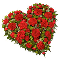 Valentine's Day Flowers Red Carnation 50 in Heart Arrangement