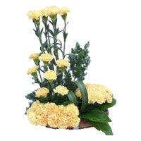 Order for Rakhi and 24 Yellow Carnation Arrangement in India