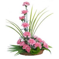 Rakhi Flower Delivery 15 Pink Carnation Arrangement with Rakhi