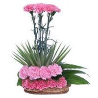 Send Online Pink Carnation Arrangement 20 Flowers with Rakhi to India