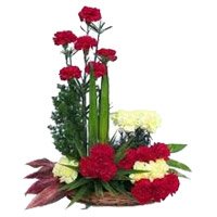 Send Red Yellow Carnation Arrangement 24 Flowers with Rakhi to India
