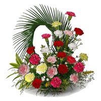 Send WMixed Carnation Arrangement 24 Flowers with 2 Free Rakhi