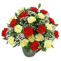 Send Red Yellow Carnation Vase 24 Flowers in India with Rakhi