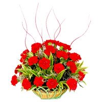 Deliver Red Carnation Basket 25 Flowers with Rakhi to India