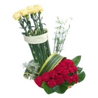 Order Rakhi and Red Yellow Carnation Basket 20 Flowers Delivery to India