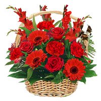 Online Delivery of Red Rose, Carnation, Glad Basket 15 Flowers with Rakhi in India