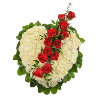 12 Red Rose Flowers for Valentine's Day & 50 White Carnation Heart