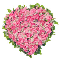 Send Valentine's Day Flowers 50 Pink Carnation in Heart Shape to India