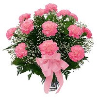 Orchid Pink Carnation in Vase 12 Flowers with Rakhi Delivery in India on Rakhi
