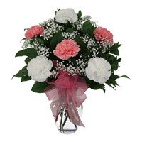 Rakhi with Pink White Carnation Vase 12 Flowers to India for brother