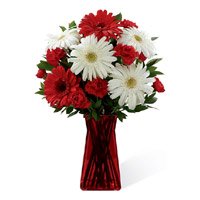 Send Red White Gerbera Carnation Flowers with Rakhi