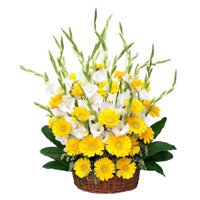 Send Flowers to Delhi Same Day Delivery