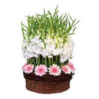 Online Flowers Delivery in Delhi