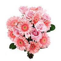 Send Rakhi with Pink Gerbera Roses Bouquet to India