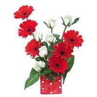 Best Flower Delivery in India : Red Gerbera White Roses