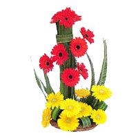 Online Flowers Delivery in Delhi