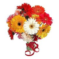 Mixed Gerbera and Rakhi Delivery to India
