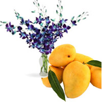 Send Blue Orchid Vase 6 Flowers Stem with 12 pcs Fresh Mango