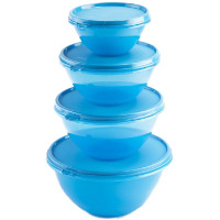 Signoraware 4 Pcs. Storage Set Blue gift to India