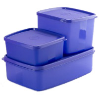 Signoraware 3 Pcs. Mini Fridge Set-Violet gift to India