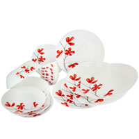 Crockery Dinner Set 19 pcs gift