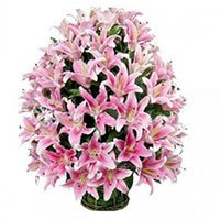 Valentine's Day Flowers Arrangement of 30 Pink Lily Stems