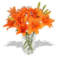 Send Orange Lily in Vase 5 Flower Stems with 2 Free Rakhi in India
